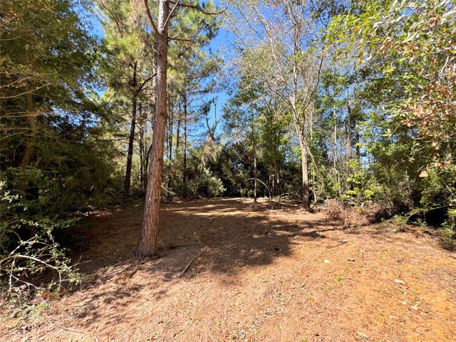 9572 State Highway 146 S, Livingston, TX 77351