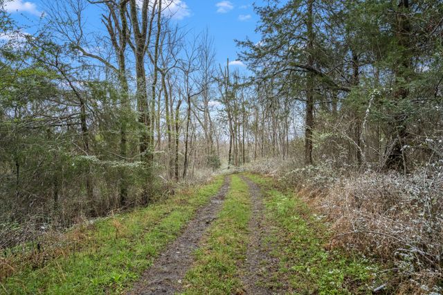 505 Philippi Rd, Wartrace, TN 37183