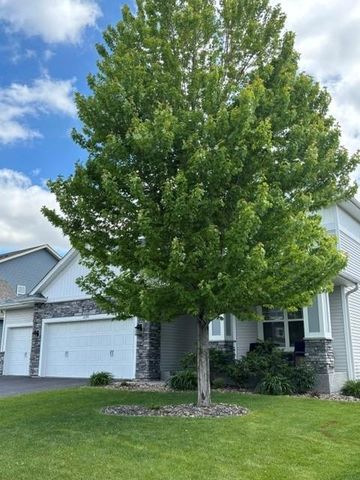 14290 Aldborough Avenue, Rosemount, MN 55068
