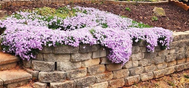 5564 Elderberry, Flowery Branch, GA 30542