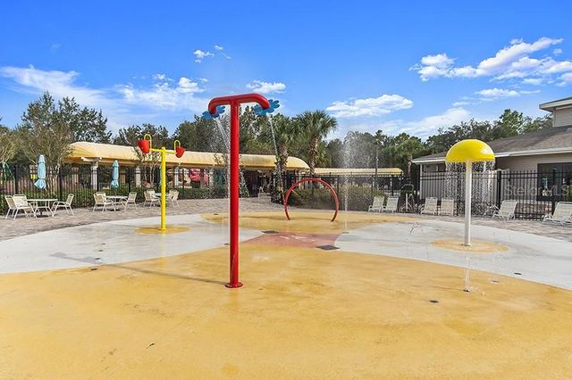 13196 GOLDEN LIME AVENUE, Spring Hill, FL 34609