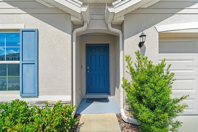 13196 GOLDEN LIME AVENUE, Spring Hill, FL 34609