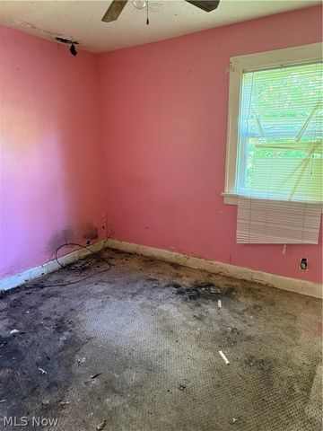 3684 E 105th Street, Cleveland, OH 44105