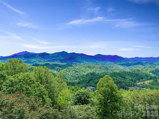 483 Birdie Lane, Bakersville, NC 28705