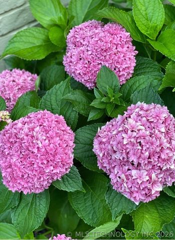 6751 E 124th Street S, Bixby, OK 74008