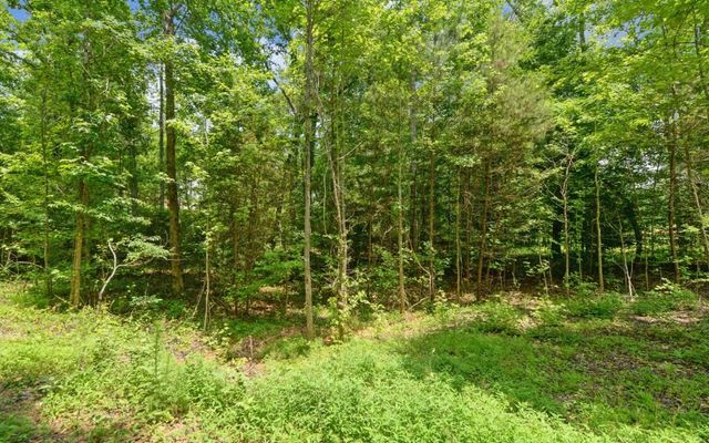 6755 Jake Kemp Road, Murrayville, GA 30564