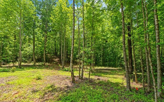 6755 Jake Kemp Road, Murrayville, GA 30564