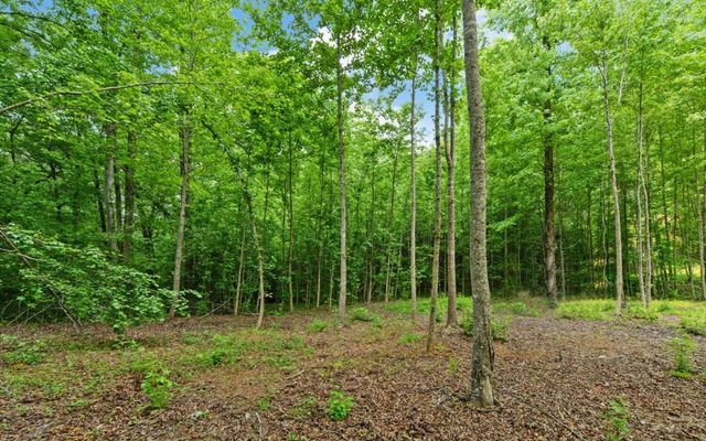 6755 Jake Kemp Road, Murrayville, GA 30564