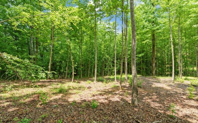 6755 Jake Kemp Road, Murrayville, GA 30564