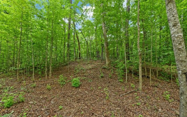 6755 Jake Kemp Road, Murrayville, GA 30564