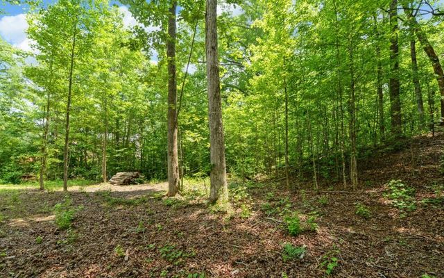 6755 Jake Kemp Road, Murrayville, GA 30564