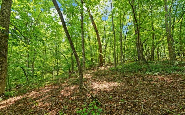 6755 Jake Kemp Road, Murrayville, GA 30564