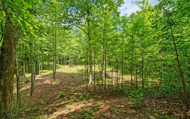 6755 Jake Kemp Road, Murrayville, GA 30564