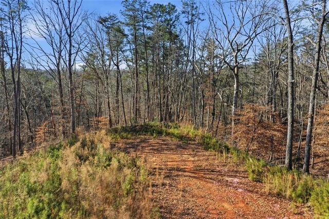 285 Highlands Chase, Ball Ground, GA 30107