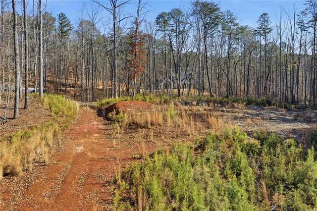 285 Highlands Chase, Ball Ground, GA 30107