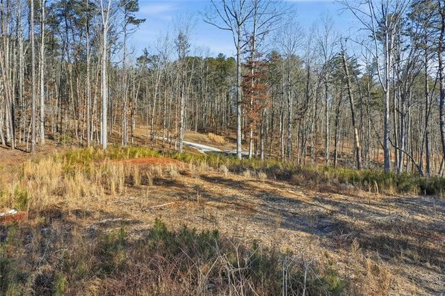 285 Highlands Chase, Ball Ground, GA 30107