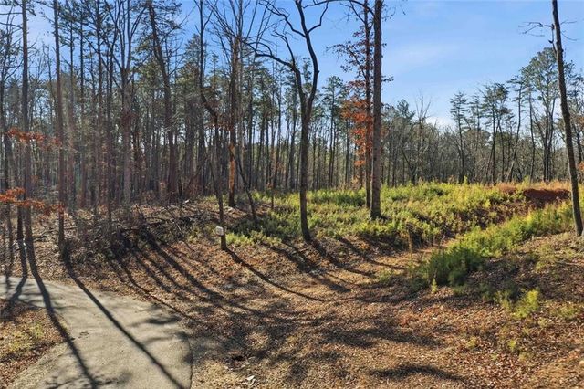 285 Highlands Chase, Ball Ground, GA 30107