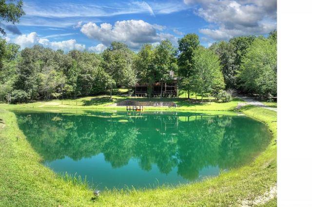 505 Old Salem Road, Mineral Bluff, GA 30559