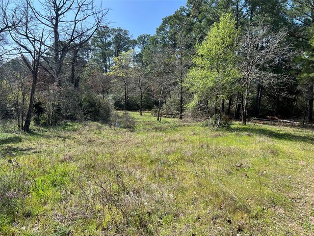 TBD Timberforest DR, Bastrop, TX 78602