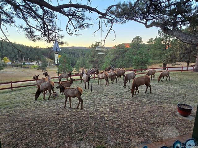 22901 Pinecrest Rd, Golden, CO 80401