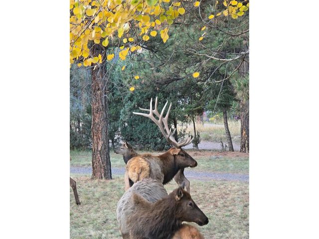 22901 Pinecrest Rd, Golden, CO 80401