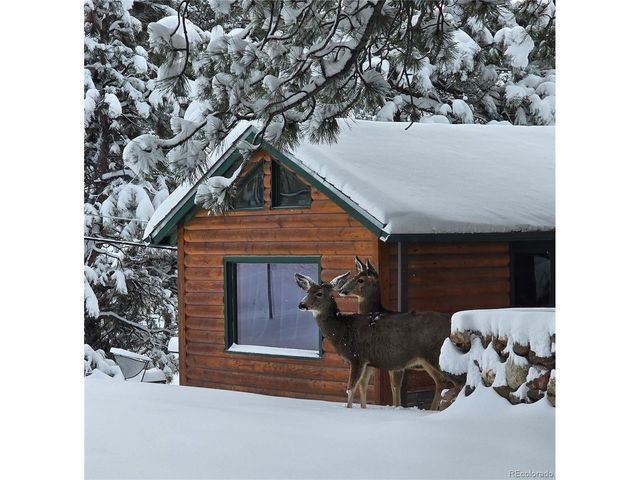 22901 Pinecrest Rd, Golden, CO 80401