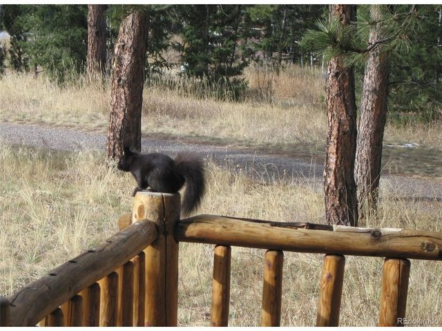 22901 Pinecrest Rd, Golden, CO 80401