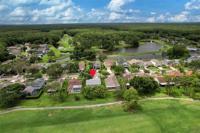 12823 ROYAL GEORGE AVENUE, Odessa, FL 33556