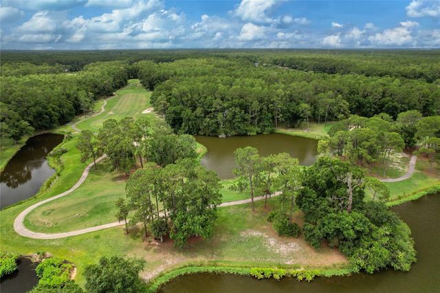 12823 ROYAL GEORGE AVENUE, Odessa, FL 33556