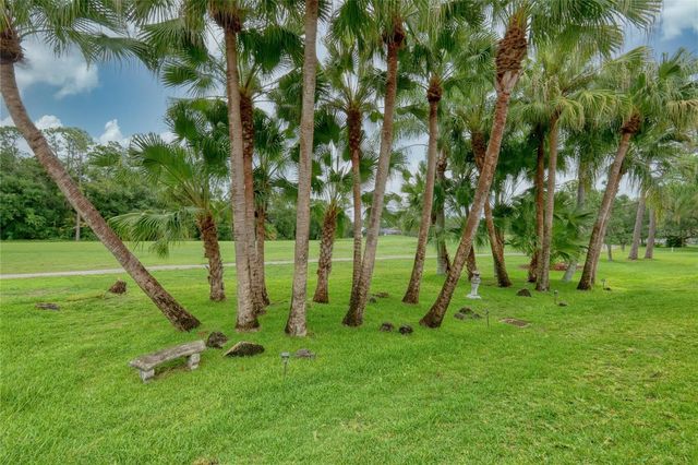 12823 ROYAL GEORGE AVENUE, Odessa, FL 33556