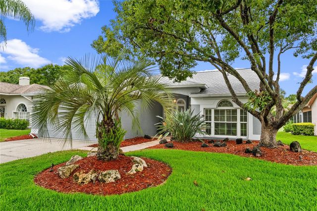 12823 ROYAL GEORGE AVENUE, Odessa, FL 33556