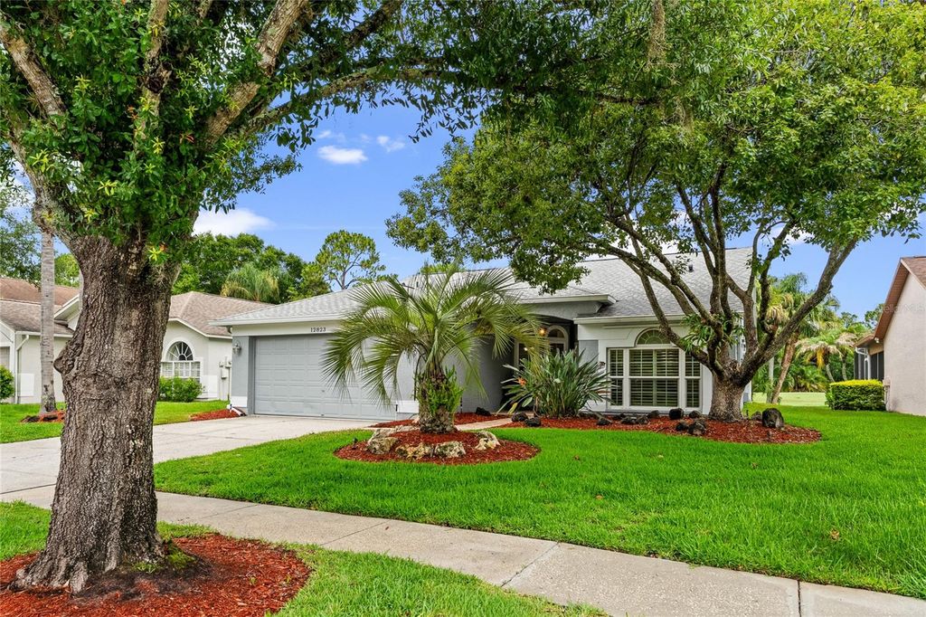 12823 ROYAL GEORGE AVENUE, Odessa, FL 33556