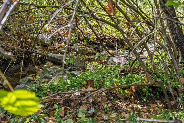 2450 E German Ivy, Springfield, MO 65804