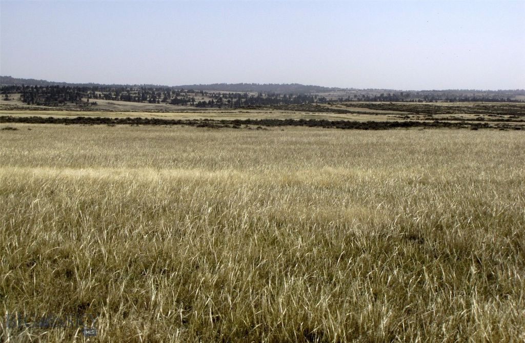 tbd Lindstrom Road, Shepherd, MT 59079 photo 27