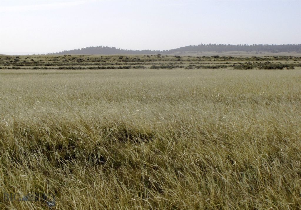 tbd Lindstrom Road, Shepherd, MT 59079 photo 30