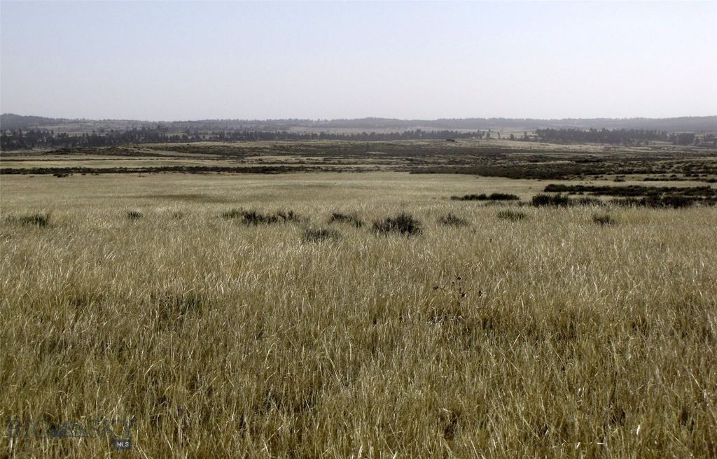 tbd Lindstrom Road, Shepherd, MT 59079 photo 34