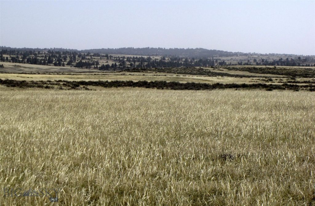 tbd Lindstrom Road, Shepherd, MT 59079 photo 35