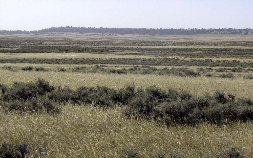 tbd Lindstrom Road, Shepherd, MT 59079 photo 38