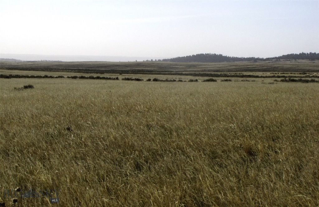 tbd Lindstrom Road, Shepherd, MT 59079 photo 41