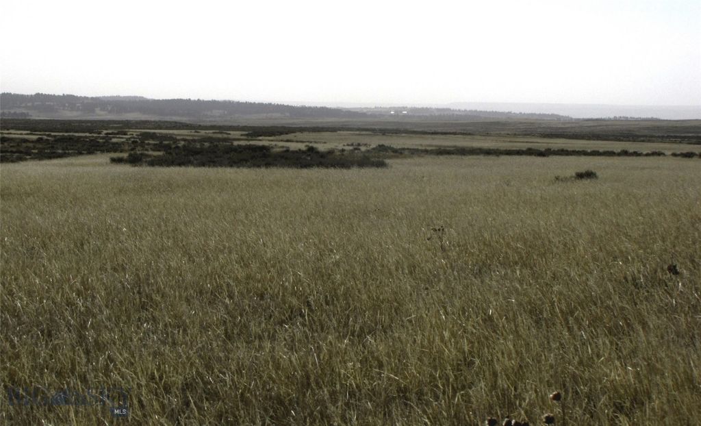 tbd Lindstrom Road, Shepherd, MT 59079 photo 42