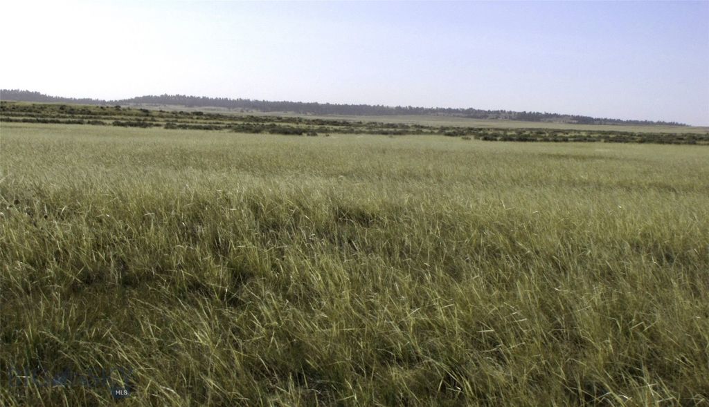 tbd Lindstrom Road, Shepherd, MT 59079 photo 7