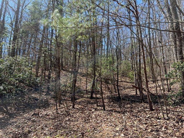 Lots High View Rd Wolf Mountain Estates, Murphy, NC 28906