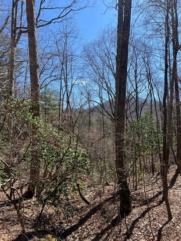 Lots High View Rd Wolf Mountain Estates, Murphy, NC 28906