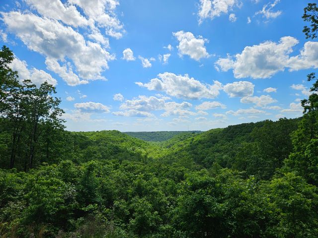 2489 Logan Ridge Road, Ozark, MO 65721
