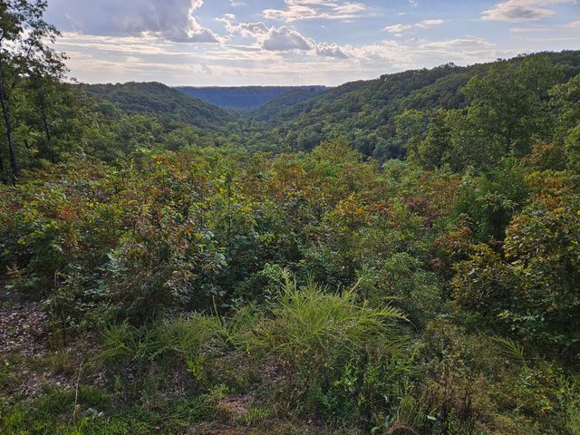 2489 Logan Ridge Road, Ozark, MO 65721