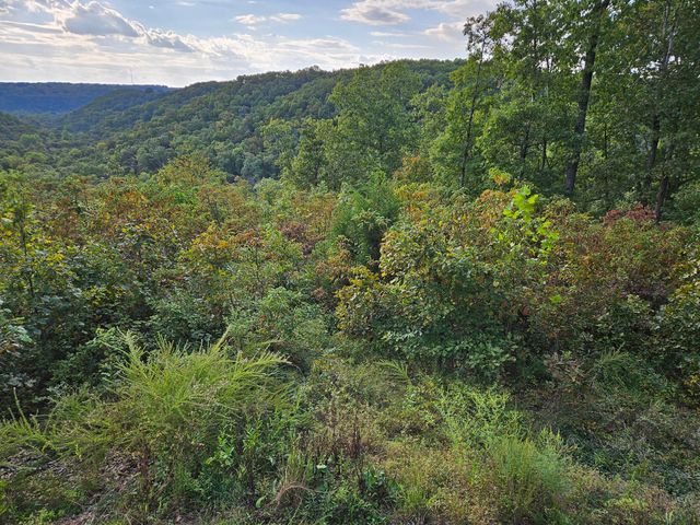 2489 Logan Ridge Road, Ozark, MO 65721