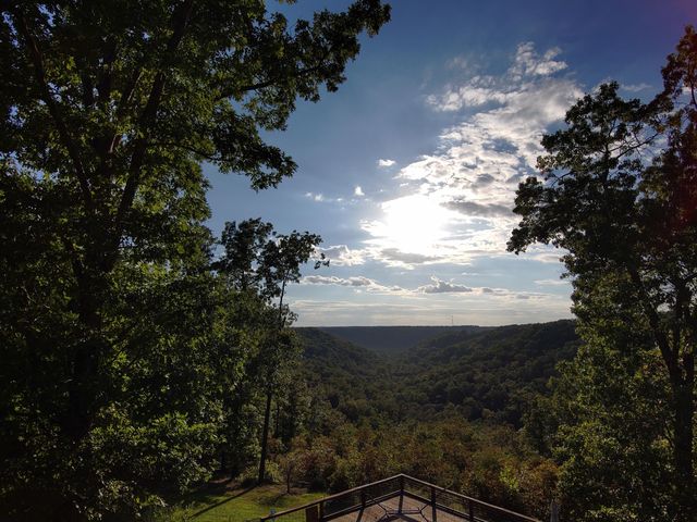 2489 Logan Ridge Road, Ozark, MO 65721