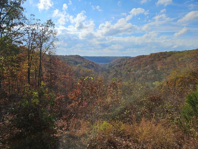 2489 Logan Ridge Road, Ozark, MO 65721