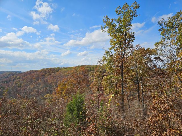 2489 Logan Ridge Road, Ozark, MO 65721