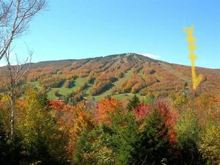 8 A Freestyle Circle # 5, Dover, VT 05356